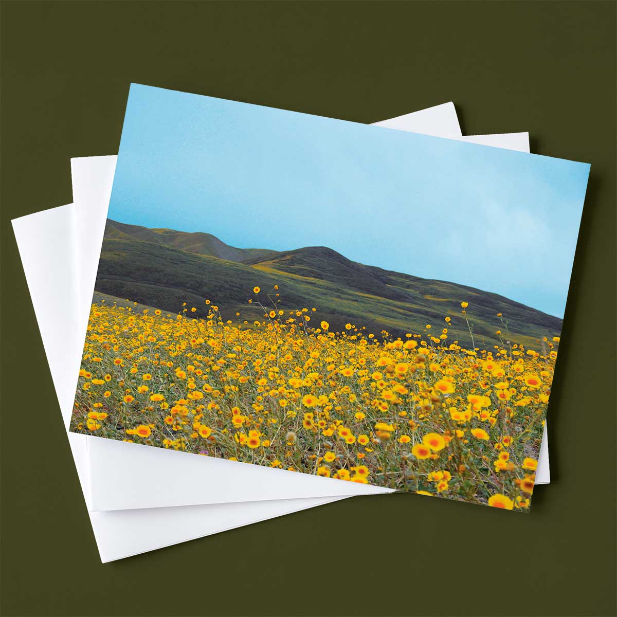 Three boxes of nature note cards for Mozaic Studio Note Card Collection.