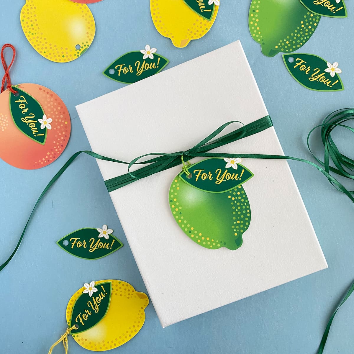 Citrus Supreme gift tags with a Lime Spritzer tag with green twine tied to a white gift box by Mozaic Studio.