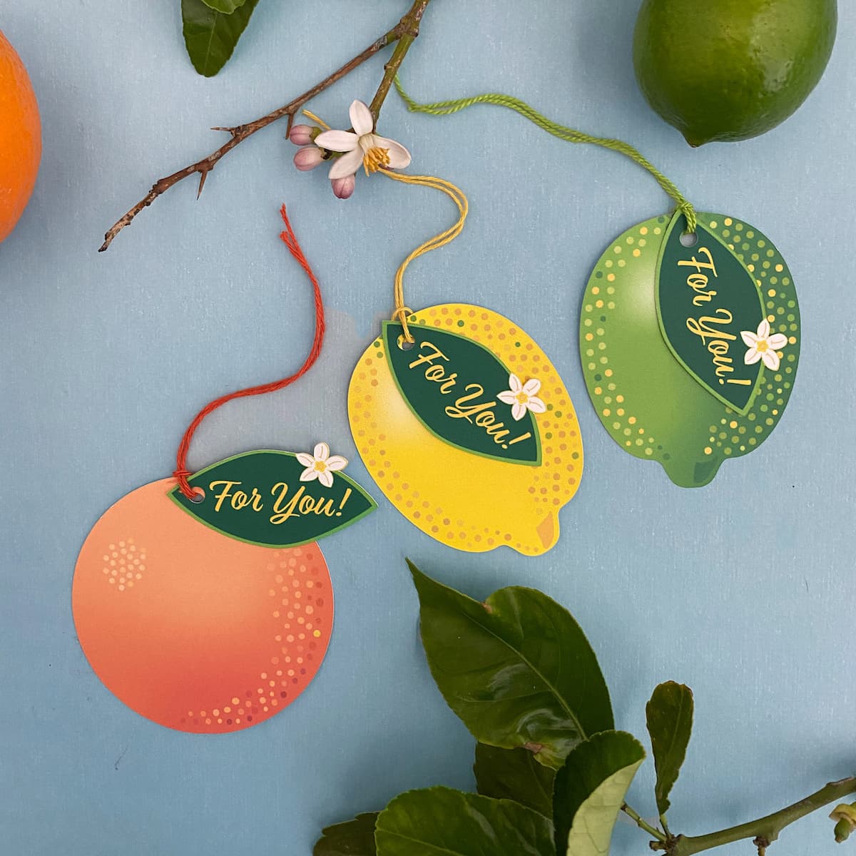 Flat lay of 3 Citrus Supreme gift tags with mixed twine and citrus leaves by Mozaic Studio.