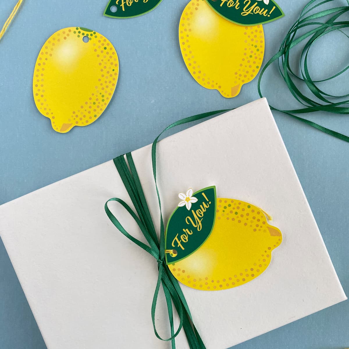 Lemon Zest gift tag with yellow twine tied to a white gift box with citrus props by Mozaic Studio.