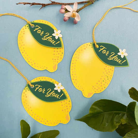 3 Lemon Zest gift tags with yellow twine and citrus props by Mozaic Studio.