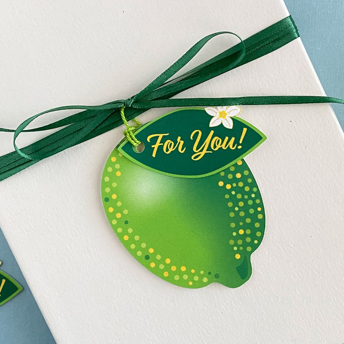 Closeup of a Lime Spritz gift tag with green twine tied to a white gift box by Mozaic Studio.