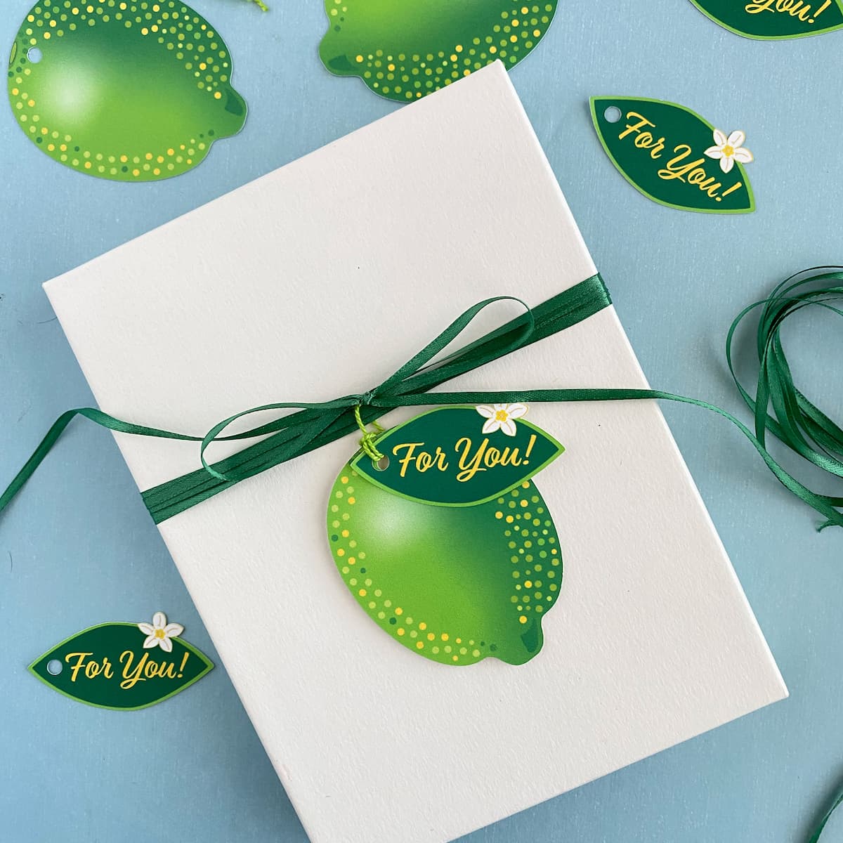 Lime Spritz gift tag with green twine tied to a white gift box by Mozaic Studio.