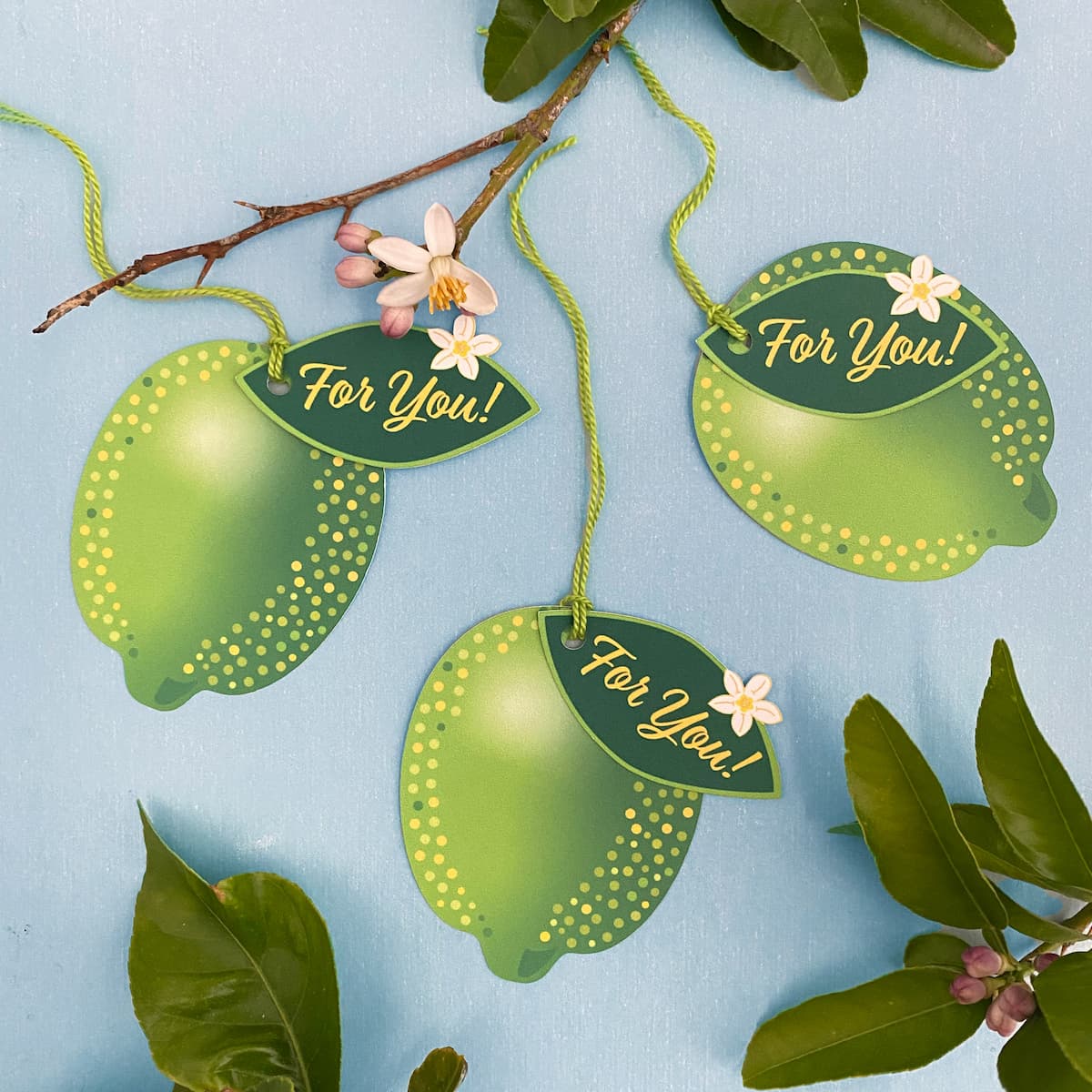 Lime Spritz gift tags with green twine and citrus props by Mozaic Studio.