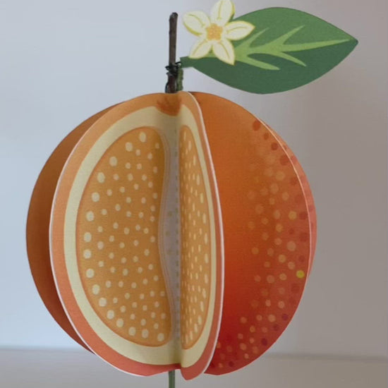 video of a 3D paper orange rotating to see all sides