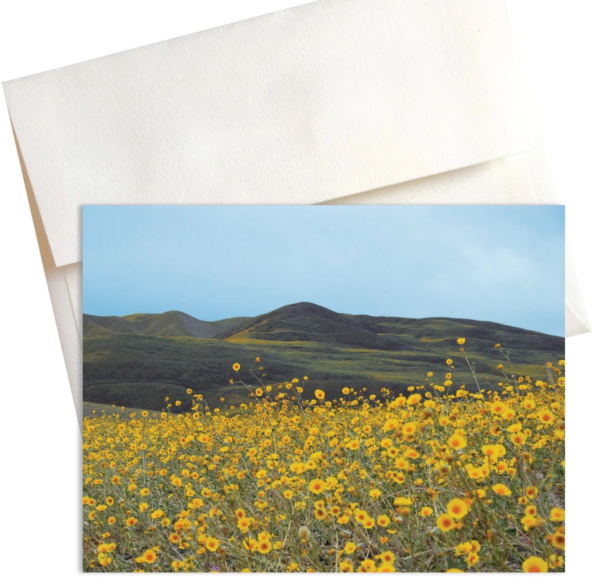 A photo titled “Ashford Mill" captures the vibrant beauty of spring in Death Valley National Park. In the foreground is a vast meadow of yellow Desert Gold wildflowers while in the background is a lush green range of hills.