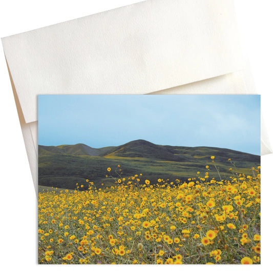 A photo titled “Ashford Mill" captures the vibrant beauty of spring in Death Valley National Park. In the foreground is a vast meadow of yellow Desert Gold wildflowers while in the background is a lush green range of hills.