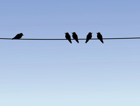 A cute illustration of silhouetted birds perched on a telephone wire against a vibrant blue sky.