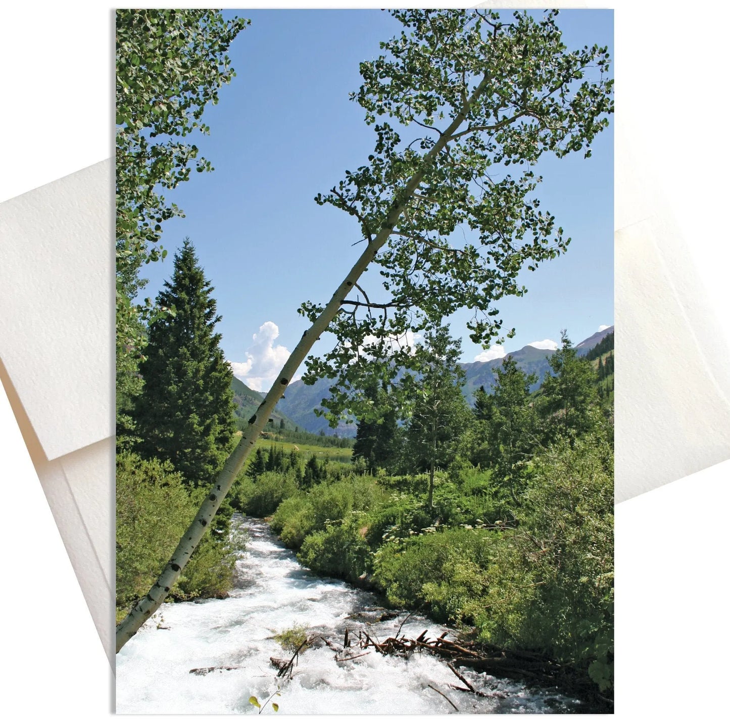 A photo of a vibrant spring scene in Aspen, Colorado where a crystal-clear brook rushes through a lush green meadow. In the foreground, a single aspen tree leans over the bank.