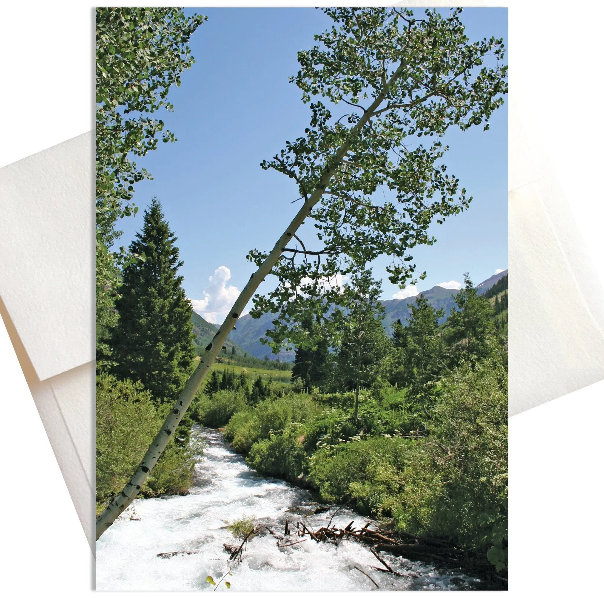 A photo of a vibrant spring scene in Aspen, Colorado where a crystal-clear brook rushes through a lush green meadow. In the foreground, a single aspen tree leans over the bank.