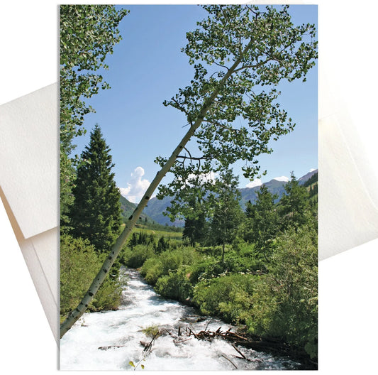 A photo of a vibrant spring scene in Aspen, Colorado where a crystal-clear brook rushes through a lush green meadow. In the foreground, a single aspen tree leans over the bank.