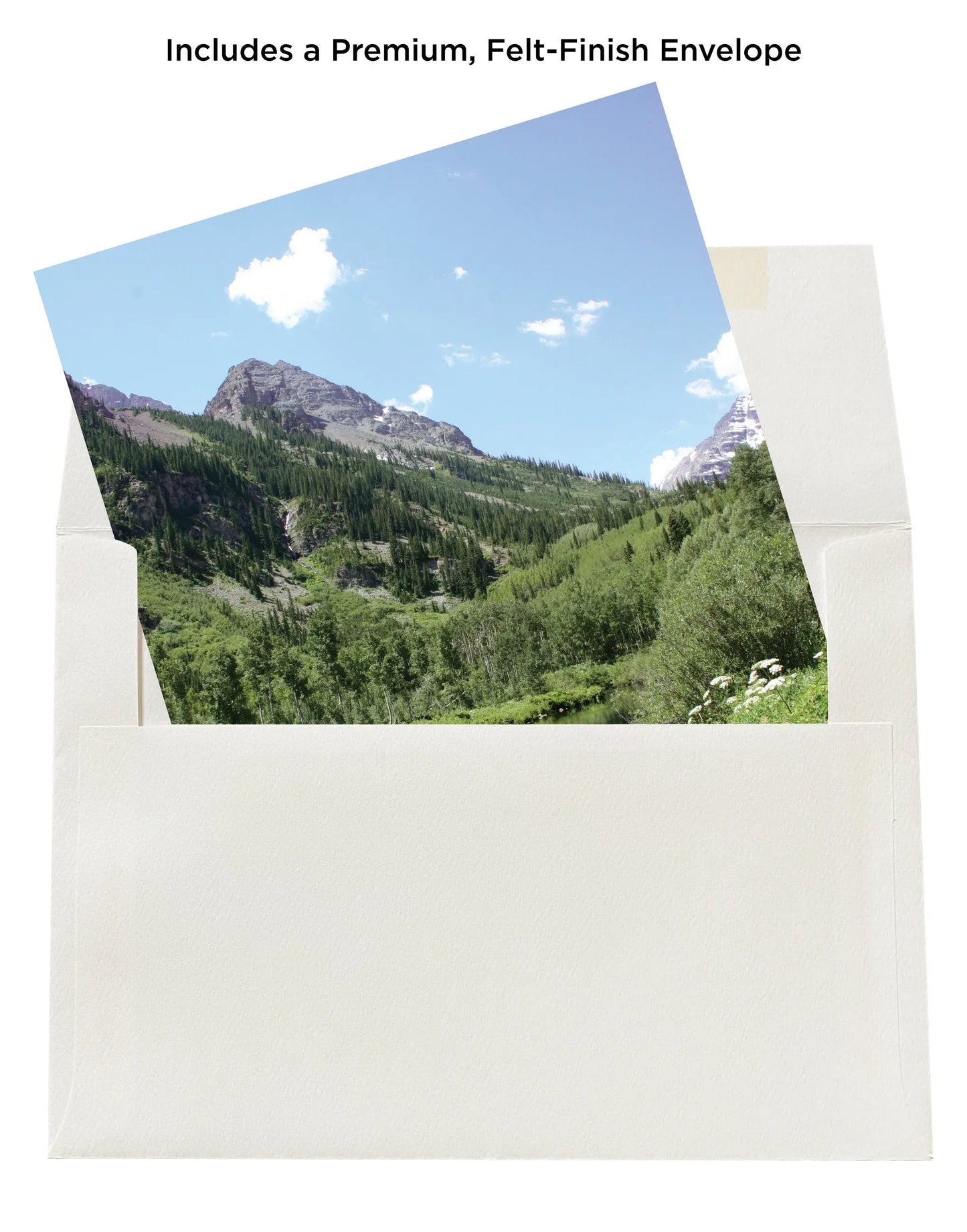 Still Water Nature Note Cards Mozaic Studio