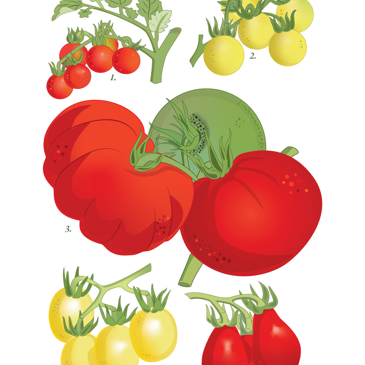 Heirloom Tomatoes Art Print Mozaic Studio